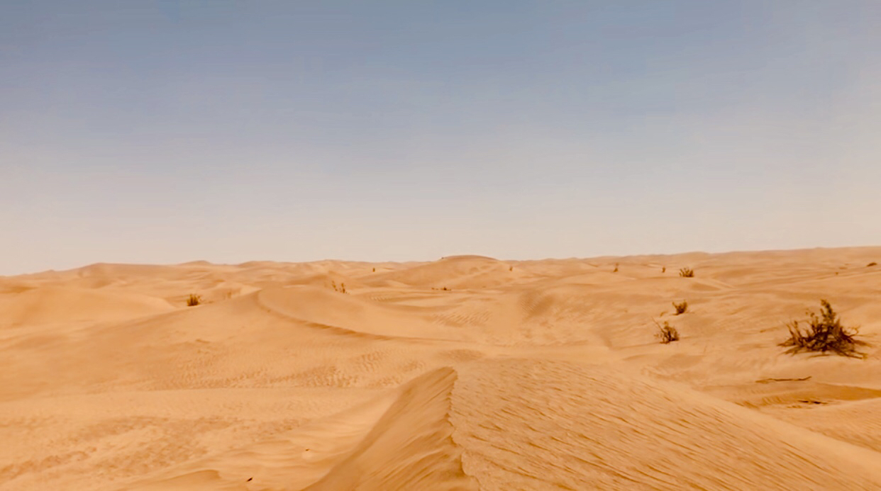 神秘而荒芜的流动沙丘