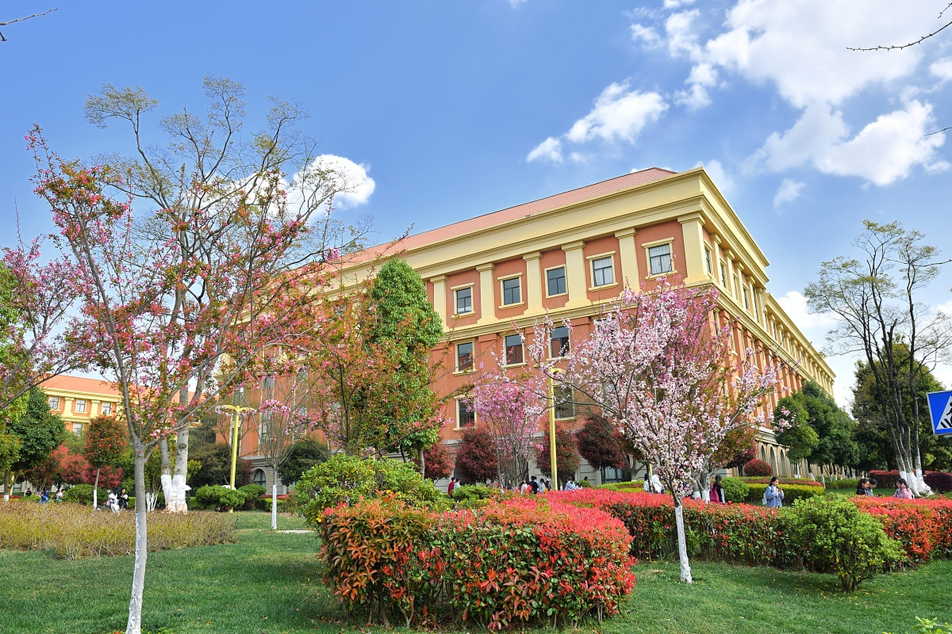 云南农业大学烟草学院顺势而生 云南是一个卷烟大省,云南农业大学烟草