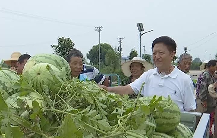 云梦代亚楚:群众脱贫致富的领路人