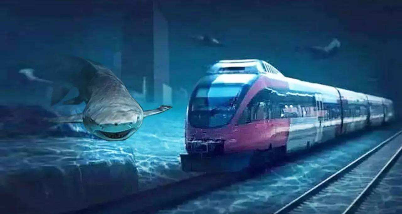 海底隧道,无论是游乐场所还是交通通道,都受到了人民的关注.