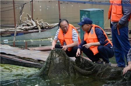 王家林到南盘江泸西段开展巡河护河工作