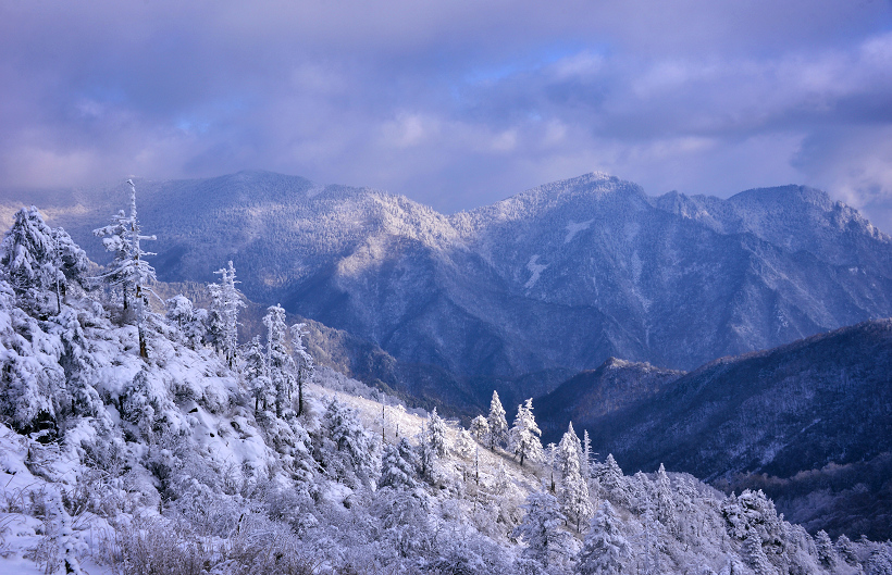 「大美秦岭39」药子梁喜看秦岭雪,跨年游探秘倒军荡