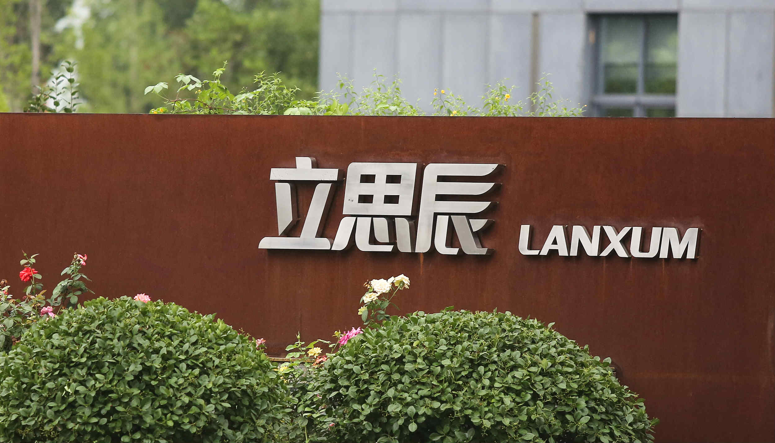 立思辰加速线下扩张,"大语文"收入同比翻倍