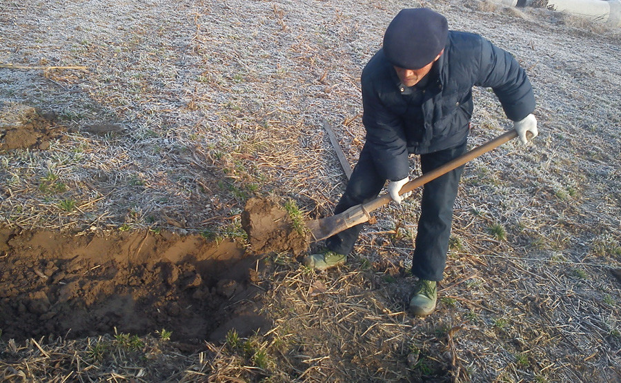 农民在荒野挖土时挖出1样东西 专家50元收走 如今价值超10亿!