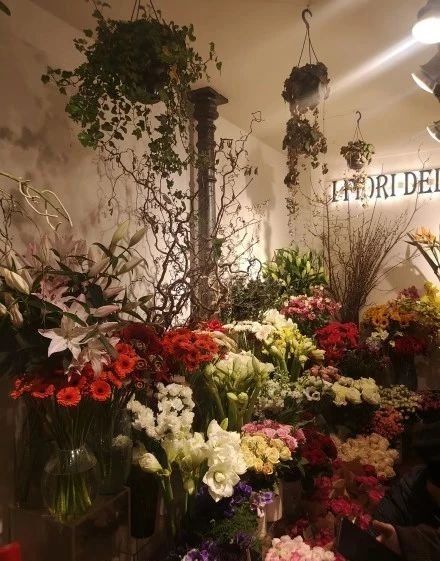 中国明星在意大利佛罗伦萨开了一间花店