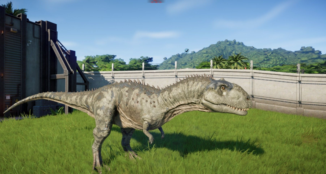 动物王国:同类相残的小岛霸王——玛君龙