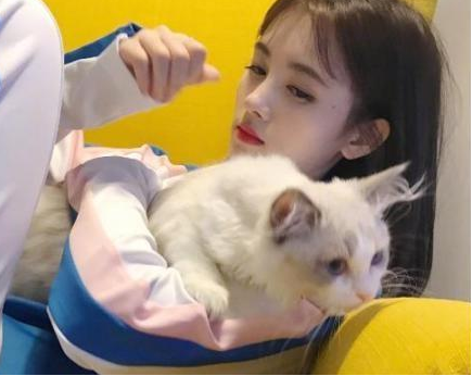 带你参观张哲瀚的豪宅:全屋铺满高档木地板,客厅还摆着玩具座椅