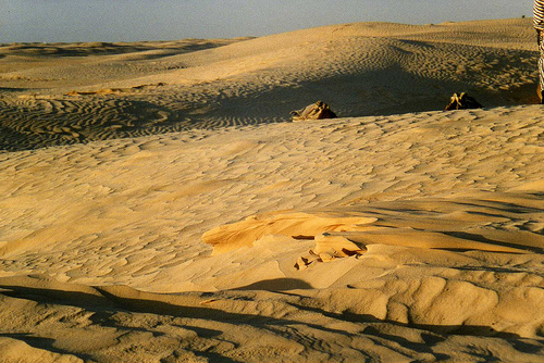 阿拉伯鲁卜哈利沙漠风情,冒险者之旅!