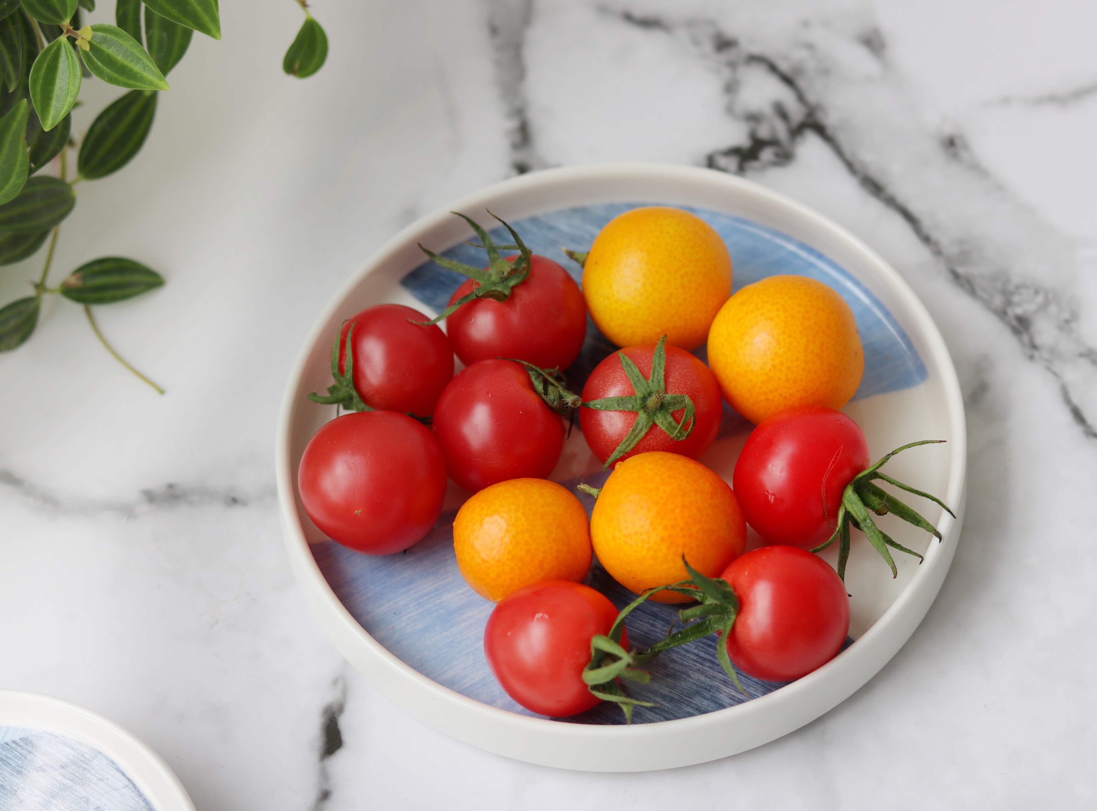 圣女果和金桔,圣女果也叫小西红柿,是水果也是蔬菜,含有多种营养成份