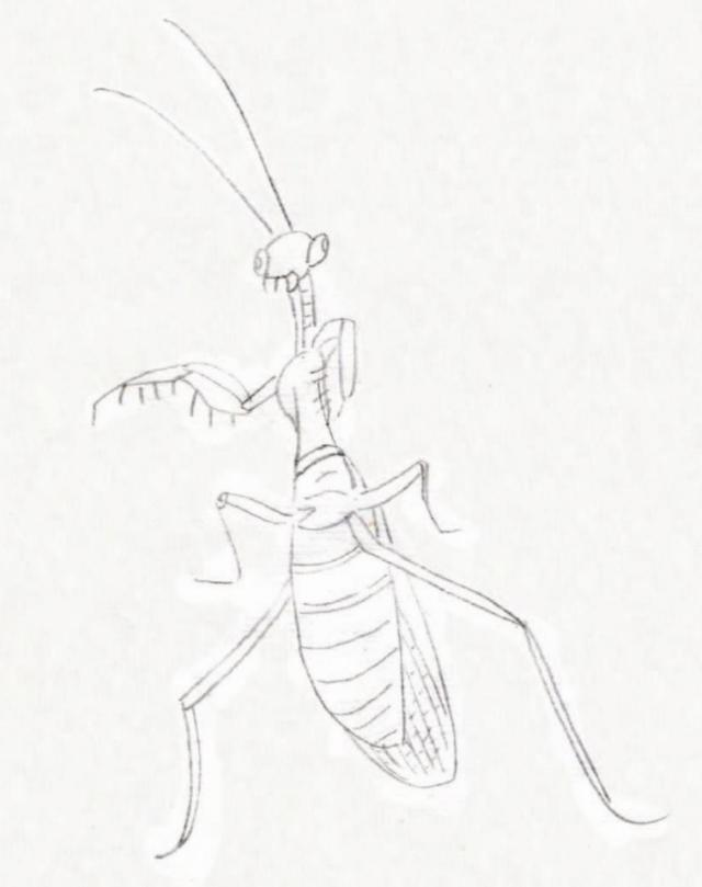 国画基础|工笔螳螂与工笔蝴蝶的画法步骤