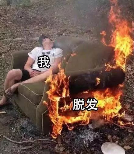 表情包:我要脱发了 感受痛苦吧