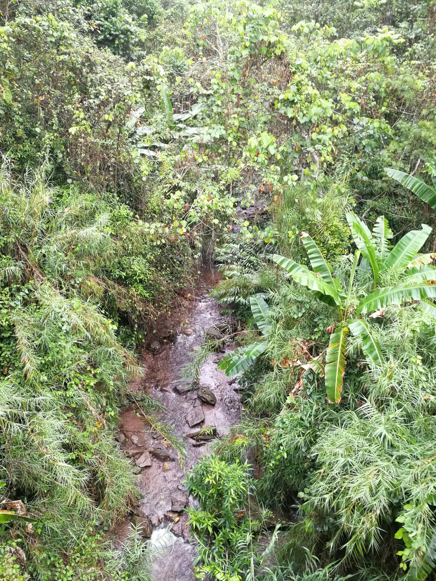 溯流而上,去茶人的发烧之地:同庆河