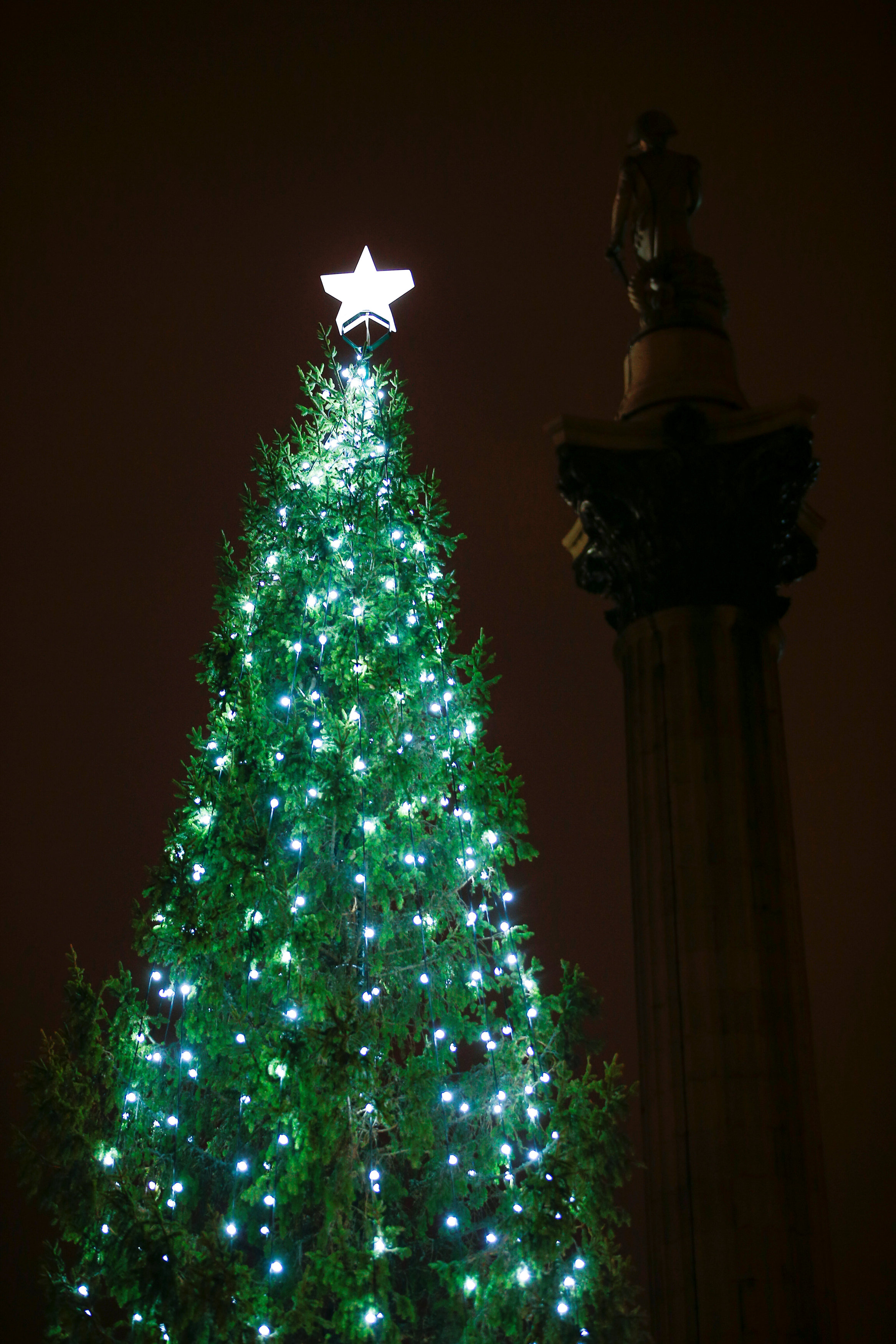 特拉法尔加广场圣诞树亮灯(2)