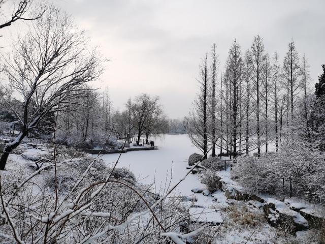 雪漠香山 净如琉璃 晏游雪景美爆朋友圈