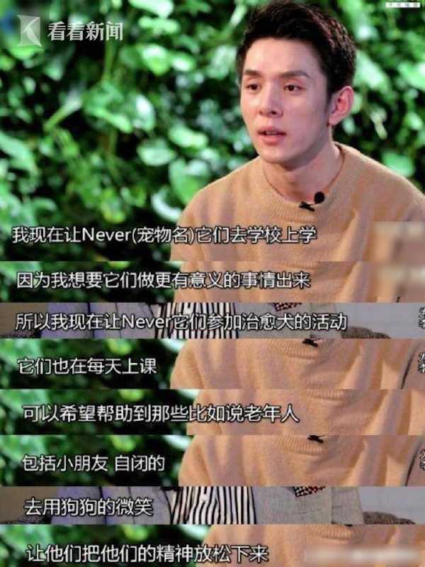李佳琦送never当治愈犬:希望它们做更有意义的事