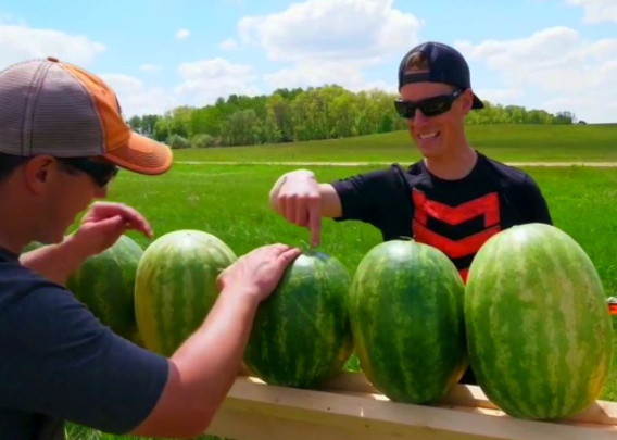 在美国旅游时,为何不能邀请黑人吃西瓜?当地人:小心被揍!