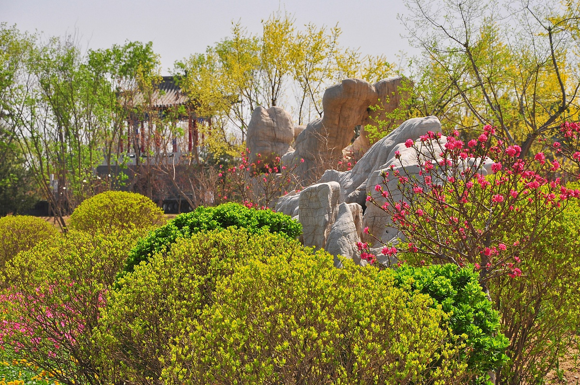 紫荆山公园,一座占地约5200平方米的美丽公园,位于中国河南省郑州市