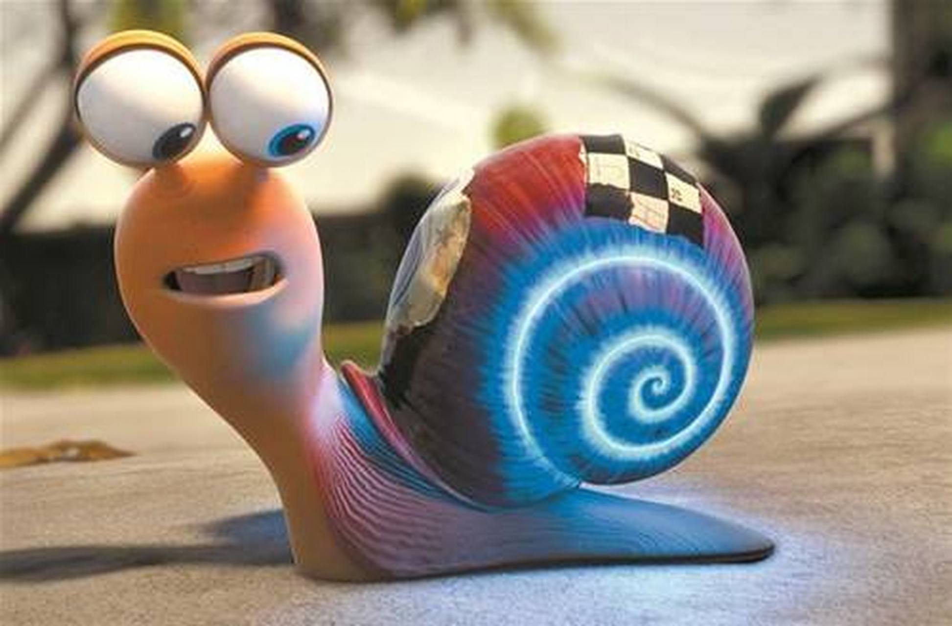 体毛;③洗完鞋用卫生纸包住为什么鞋会更干净;④蜗牛是雌雄同体动物