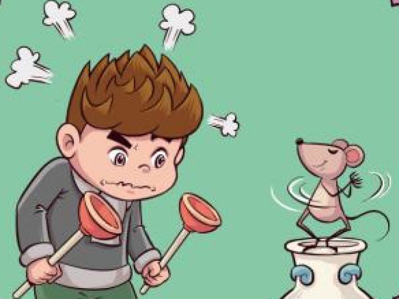 一起学成语【投鼠忌器】