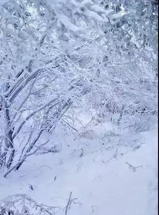 千真万确 先来一组图你瞅瞅 猜猜是哪里?