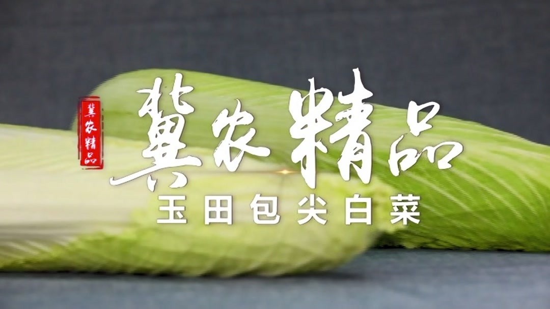 冀农精品——玉田包尖白菜