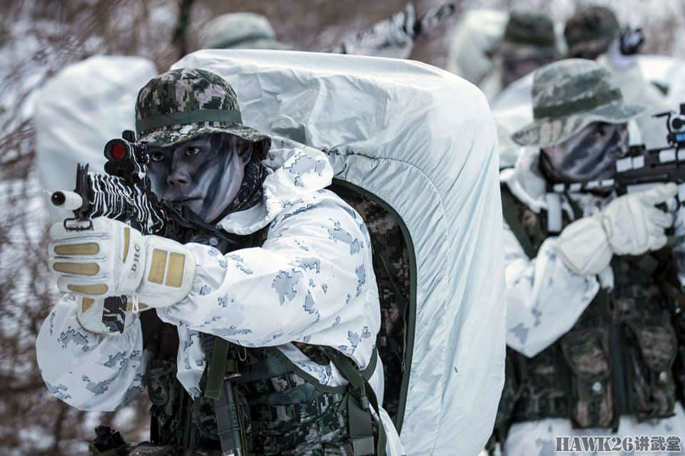 韩国海军陆战队演习照曝光 身穿全套雪地迷彩 展示高超战术水平