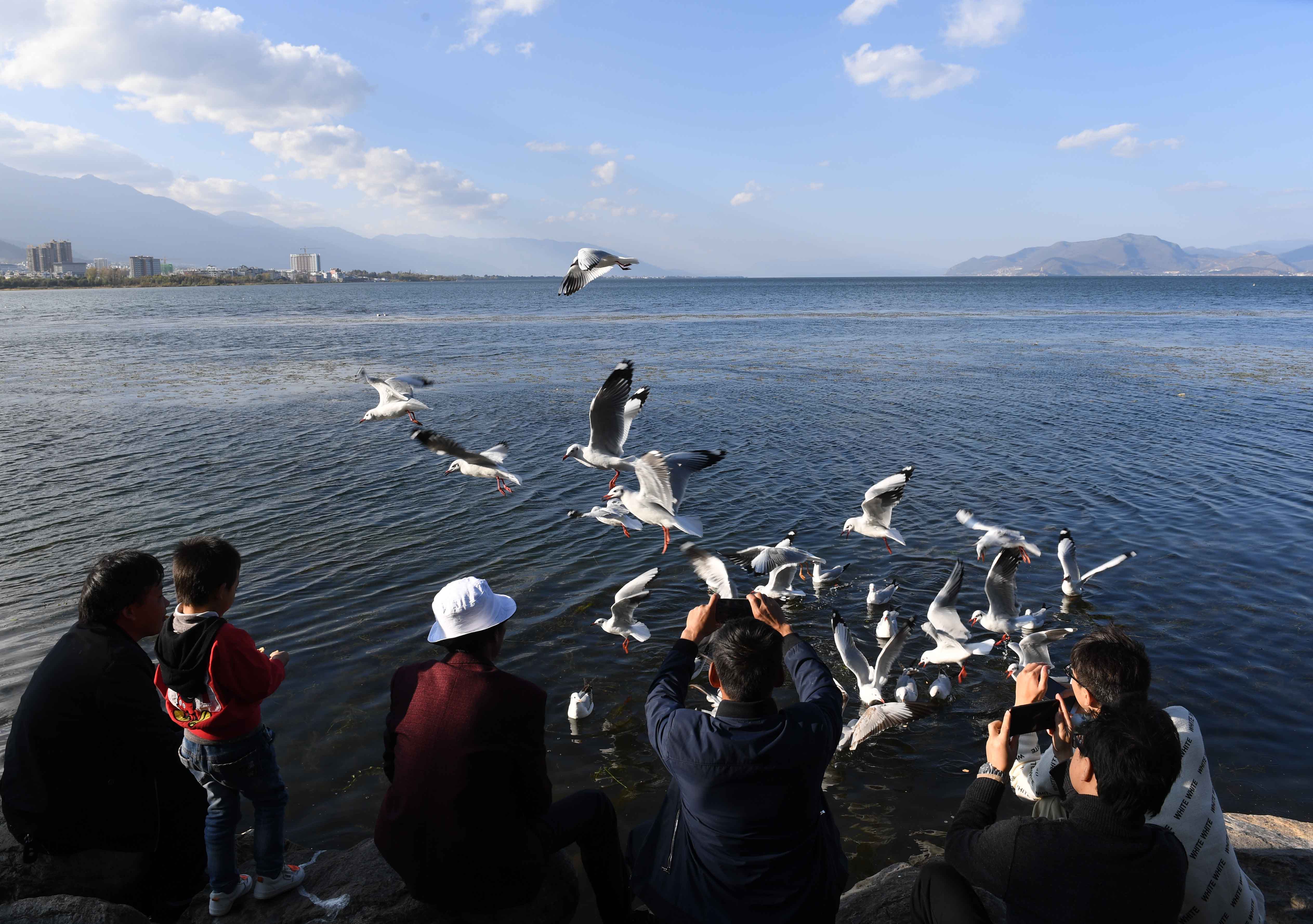 云南大理:洱海景色秀丽