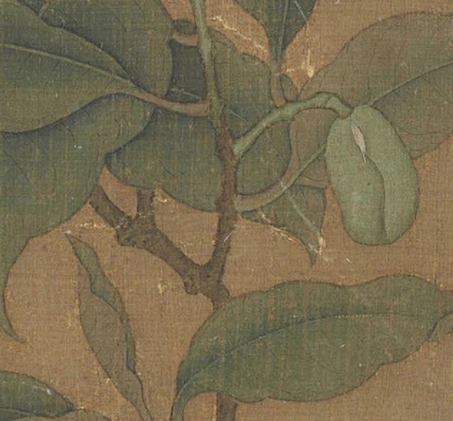 宋代《夜合花图》(北京故宫博物院藏)