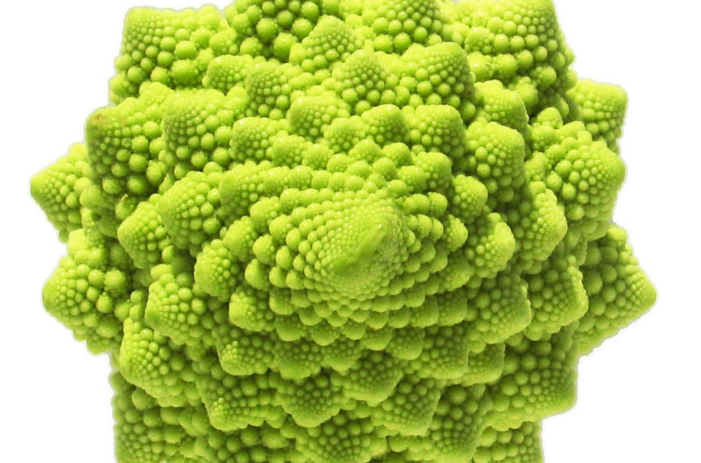 世界最神奇的蔬菜之一-罗马花椰菜