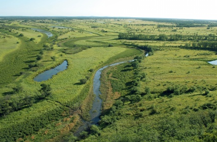 云南3大原始生态群落,你去过这些地方吗?