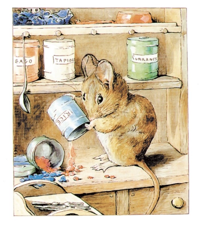 最美插画:你还记得彼得兔吗?它就像童年时的你一样淘气又可爱