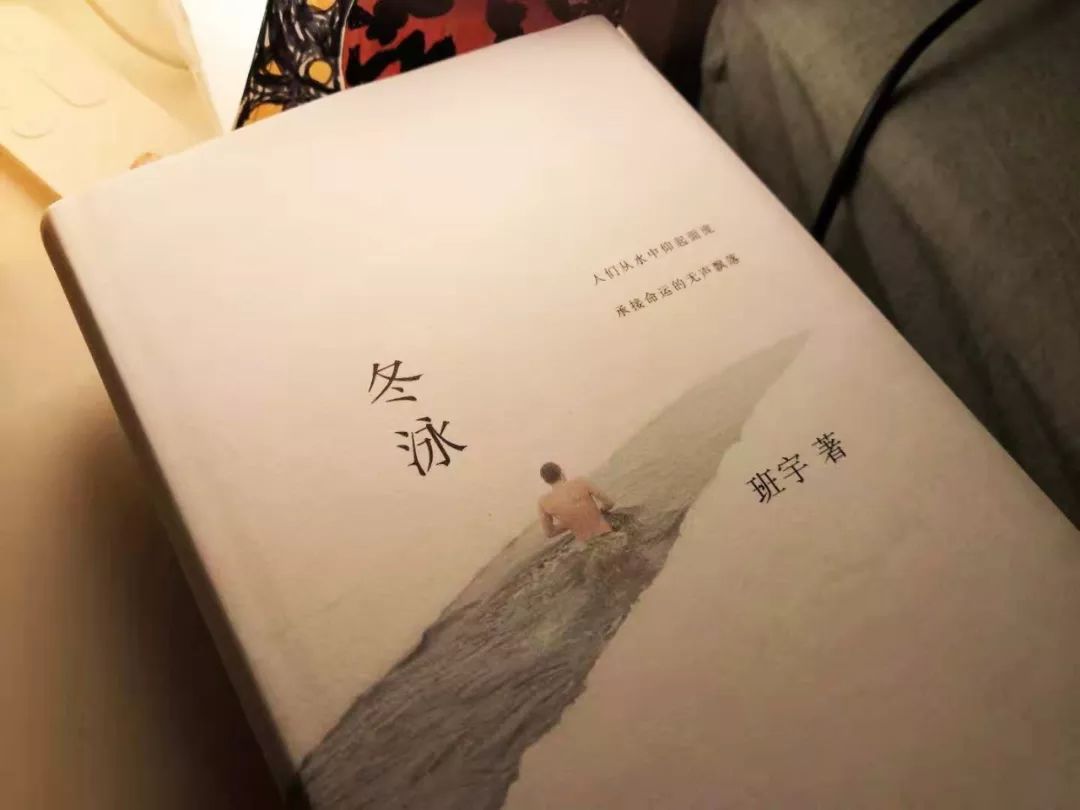 荐书:班宇《冬泳》| 曾是一个比我还毒舌数倍的乐评人,是我今年最推荐
