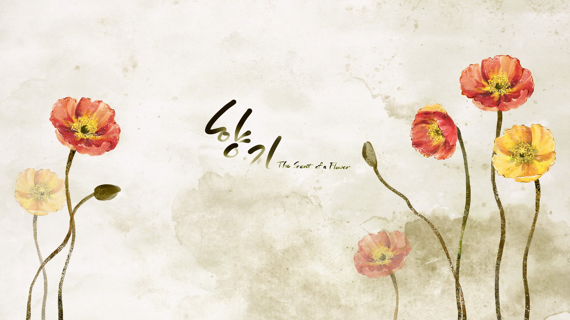浪漫简约花卉信纸超清电脑桌面图片,分辨率为1920x1080