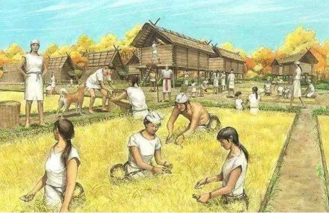 从狩猎时代到农耕社会,我们祖先到底经历了什么?