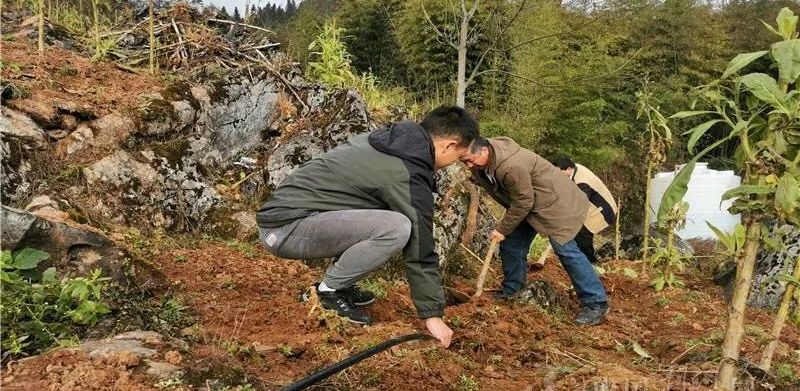 利川市文鬥鄉這個村,曾祖祖輩輩都在為這個事兒發愁?