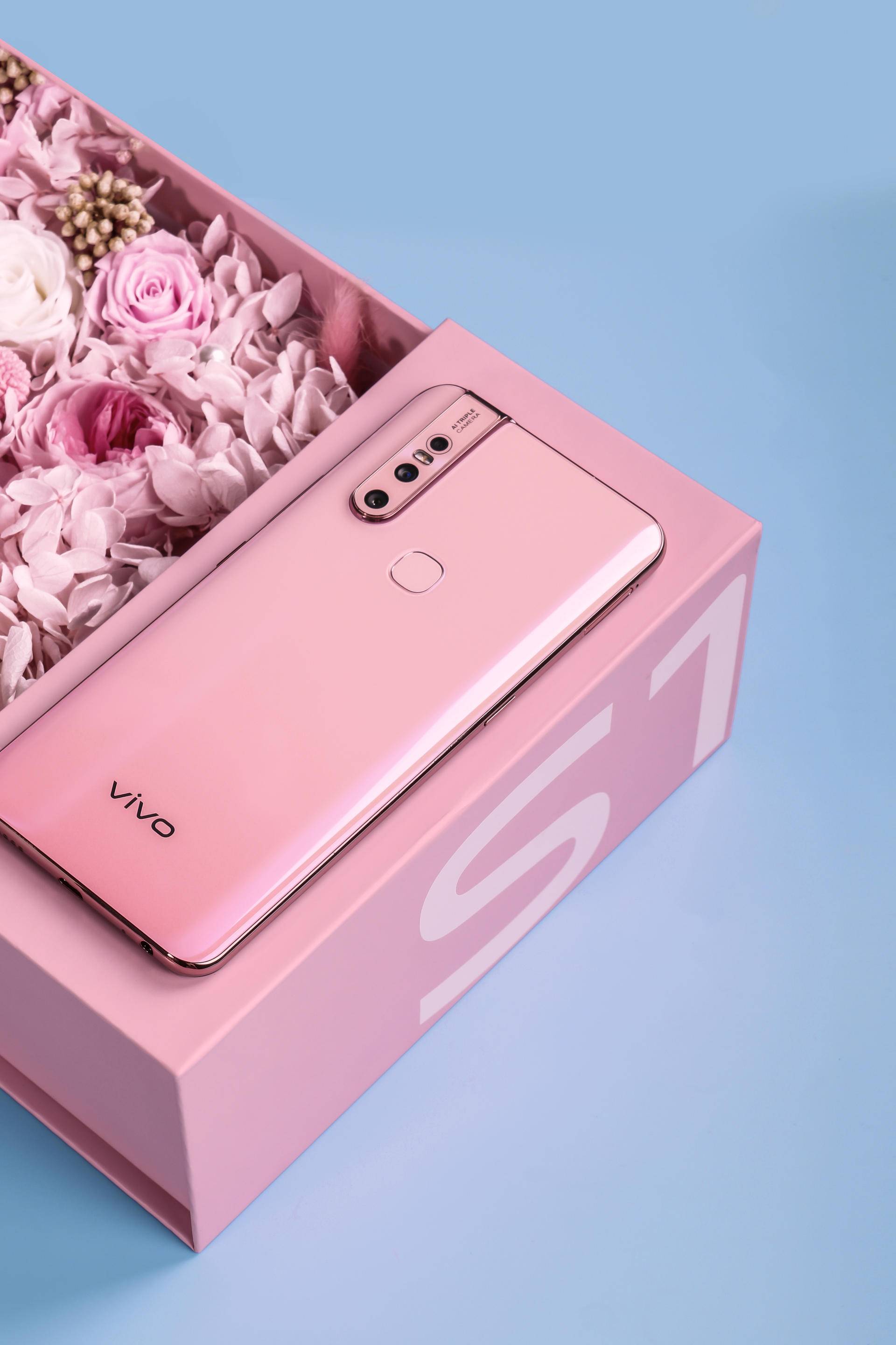 说完前置摄像头,我们来聊聊后置摄像头,如图所示,vivo s1宠爱粉也是