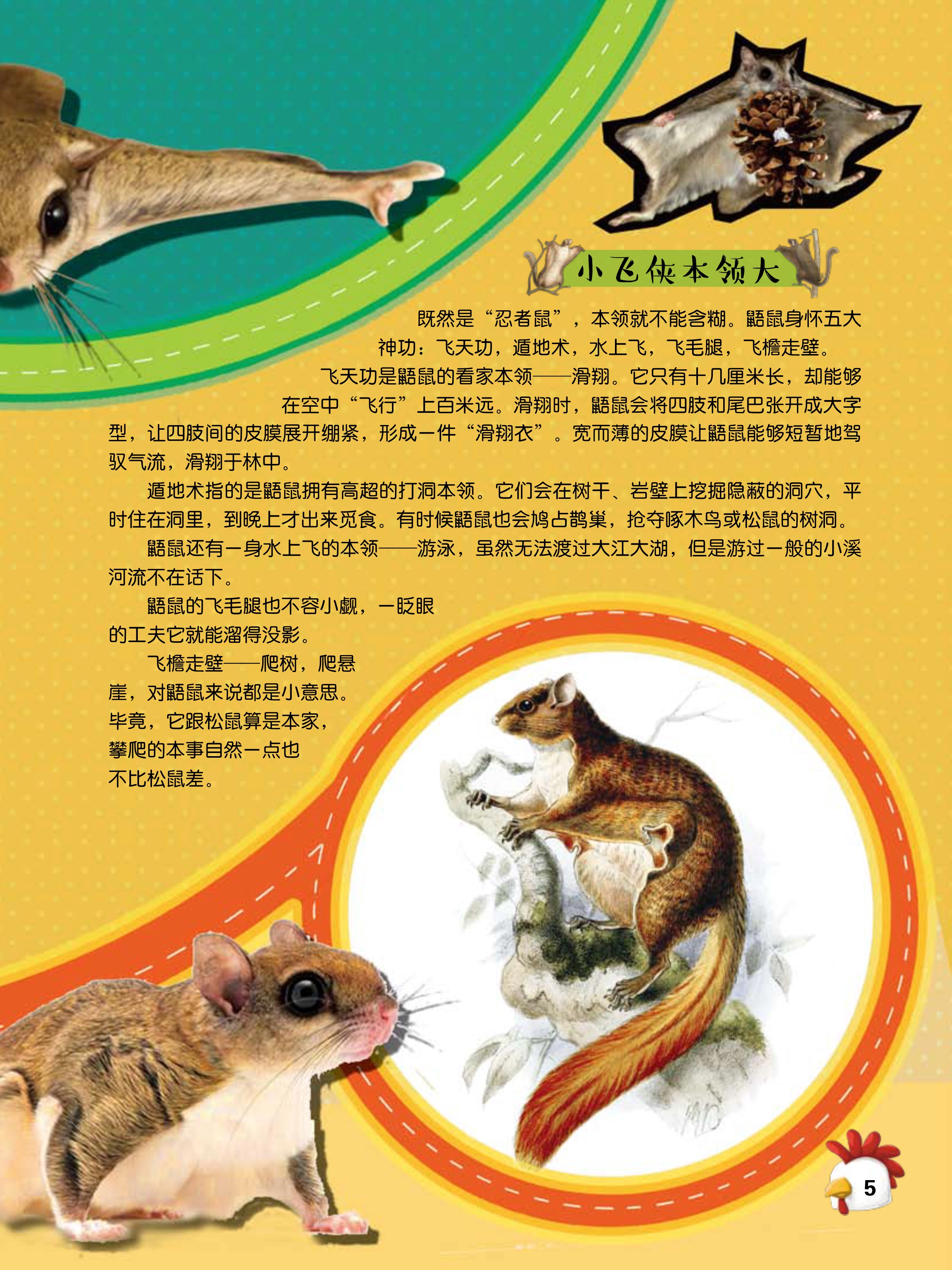 丛林小飞侠