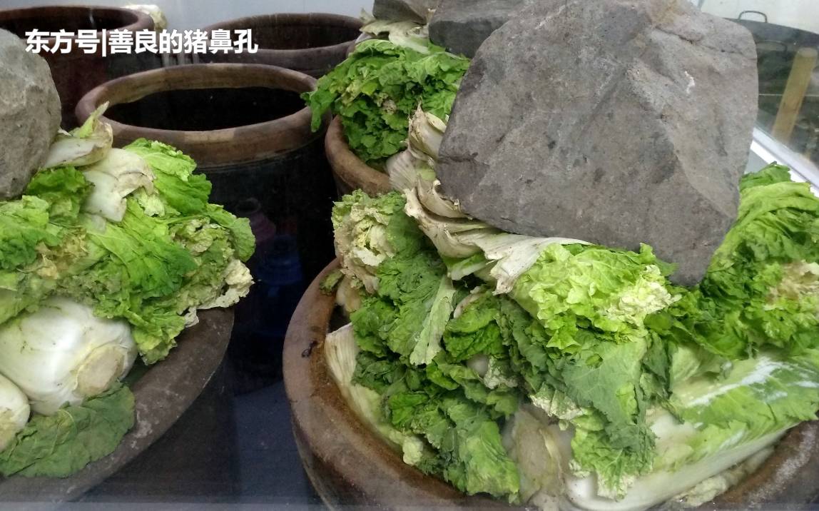 东北农民腌酸菜,十口大缸腌了一万斤,结果菜都烂了,还能吃吗?