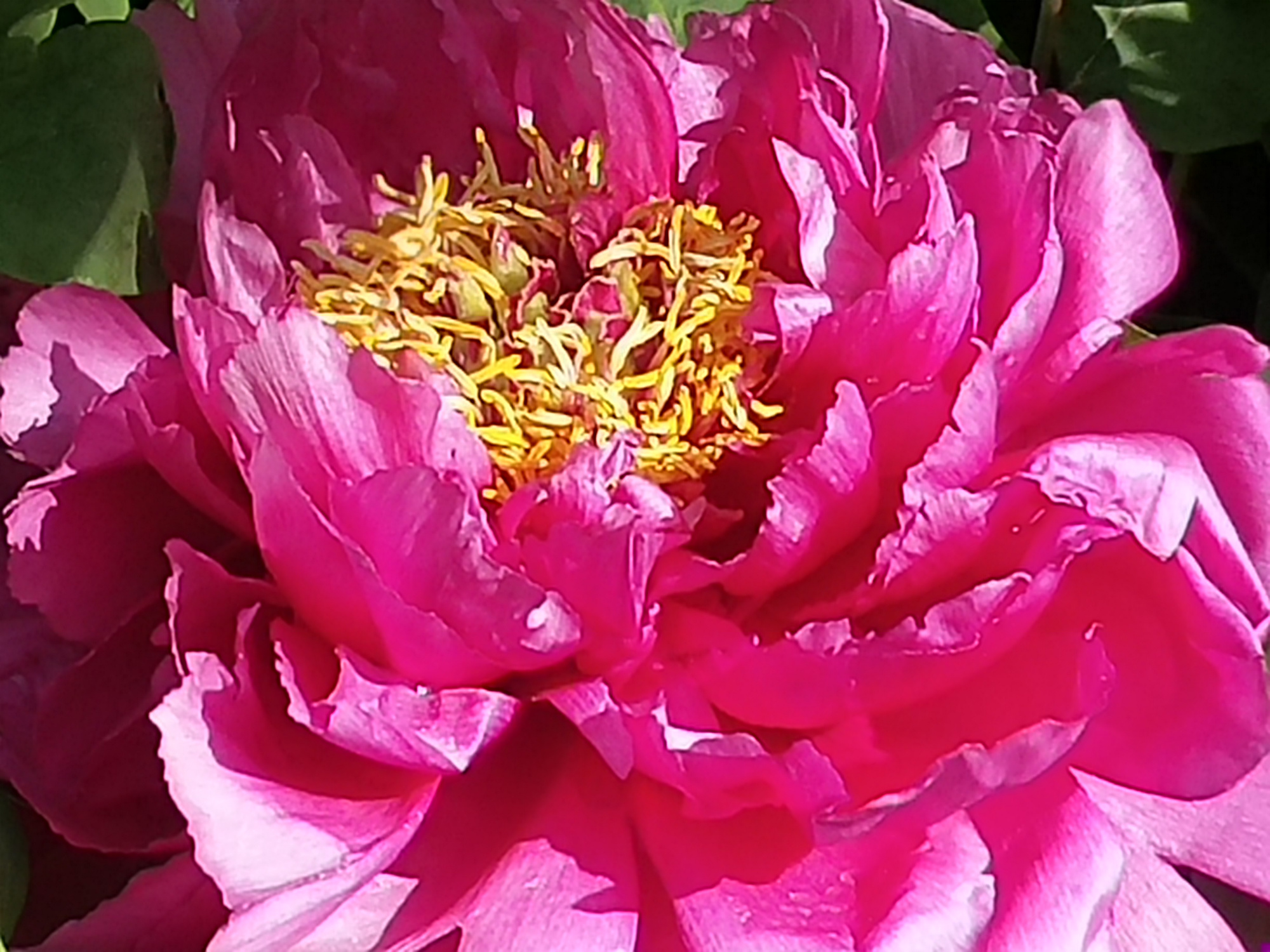 天下第一美 baijiahao.baidu.com