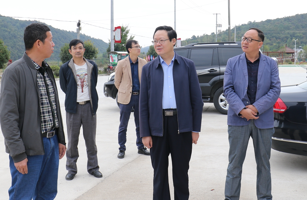 京山市委书记刘启华开展主题教育和脱贫攻坚工作专题调研