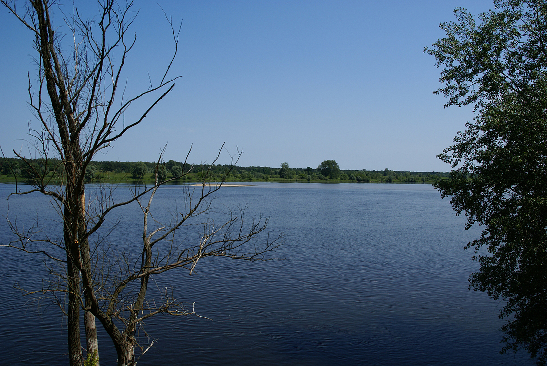 镜头里的春天# 安徽寿县瓦埠湖,位于安徽省淮河流域,是淮河中游最大