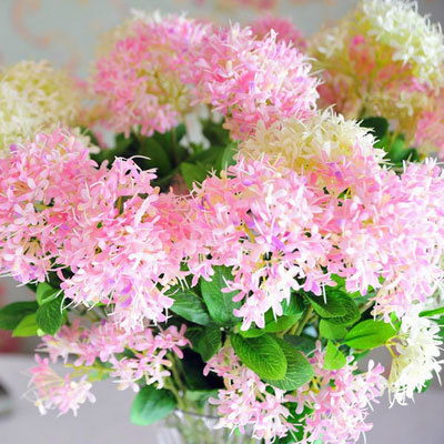 夕雾花别称疗喉草,喉管花,夕雾草