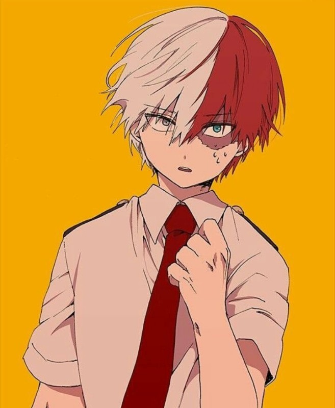 我的英雄学院——轰焦冻