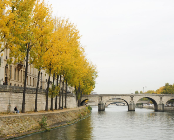 右岸是巴黎的主要商区与政治中心,左岸有著名的咖啡店及拉丁区,充满