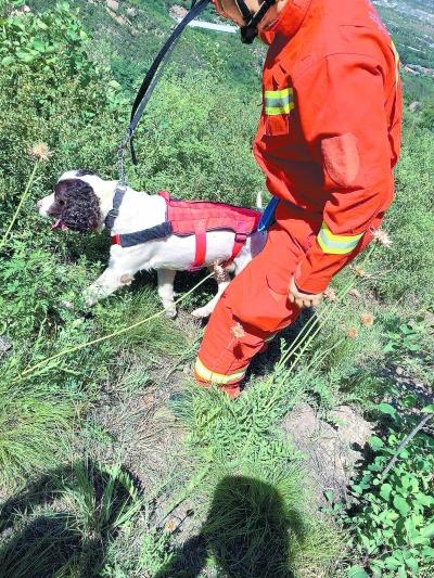 女驴友北京凤凰岭失联15天 搜救进入定点排查阶段