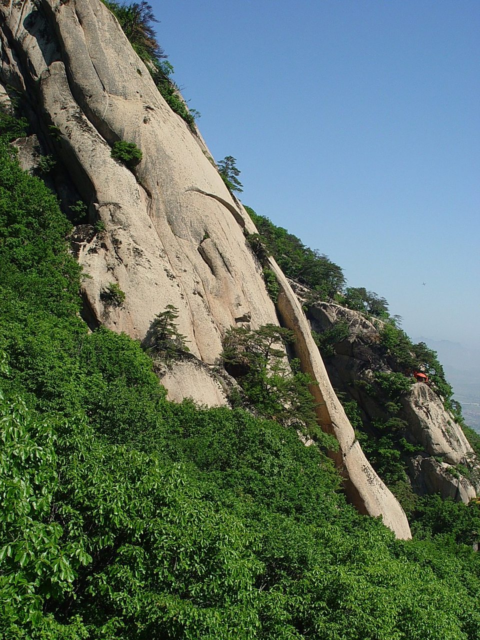 镜头里的春天# 凤凰山的魅力远不止于此