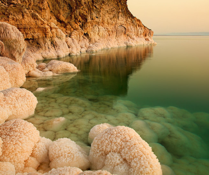 死海湖中及湖岸均富含盐份,在这样的水中,鱼儿和其他水生物都难以生存