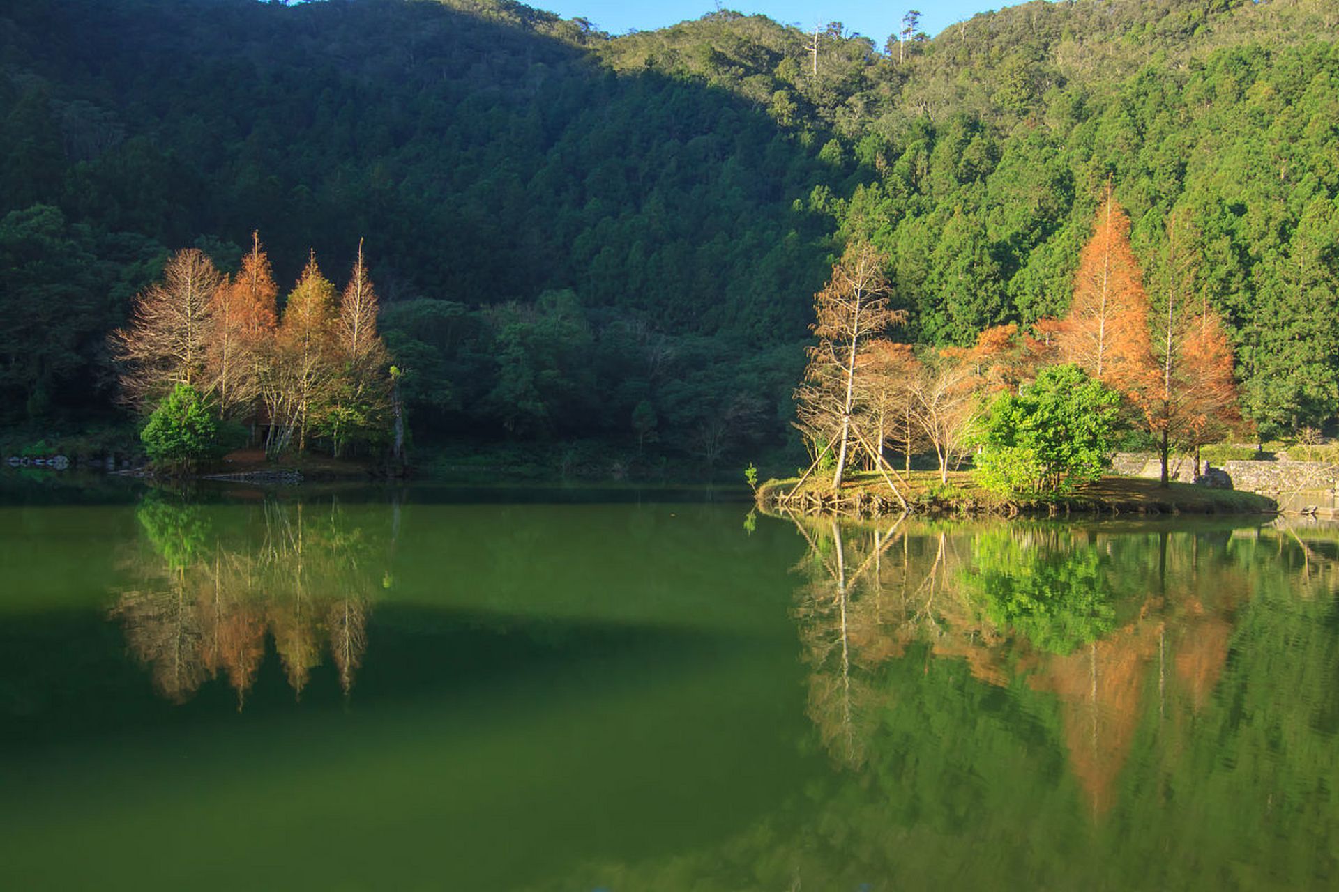 寻找百度ai写手计划# 秋天到中山旅游必去的一个景点是五桂山.