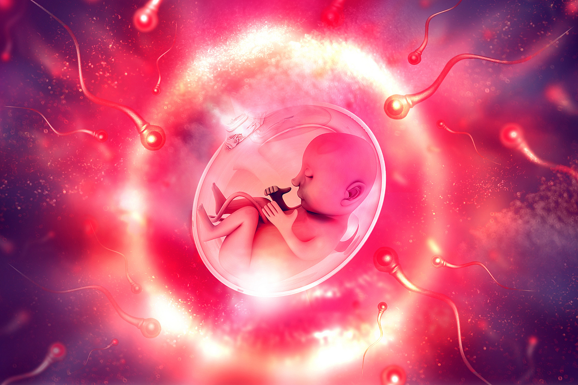 世界上第一个试管婴儿于1978年7月25日在英国诞生的,名为路易丝·布朗