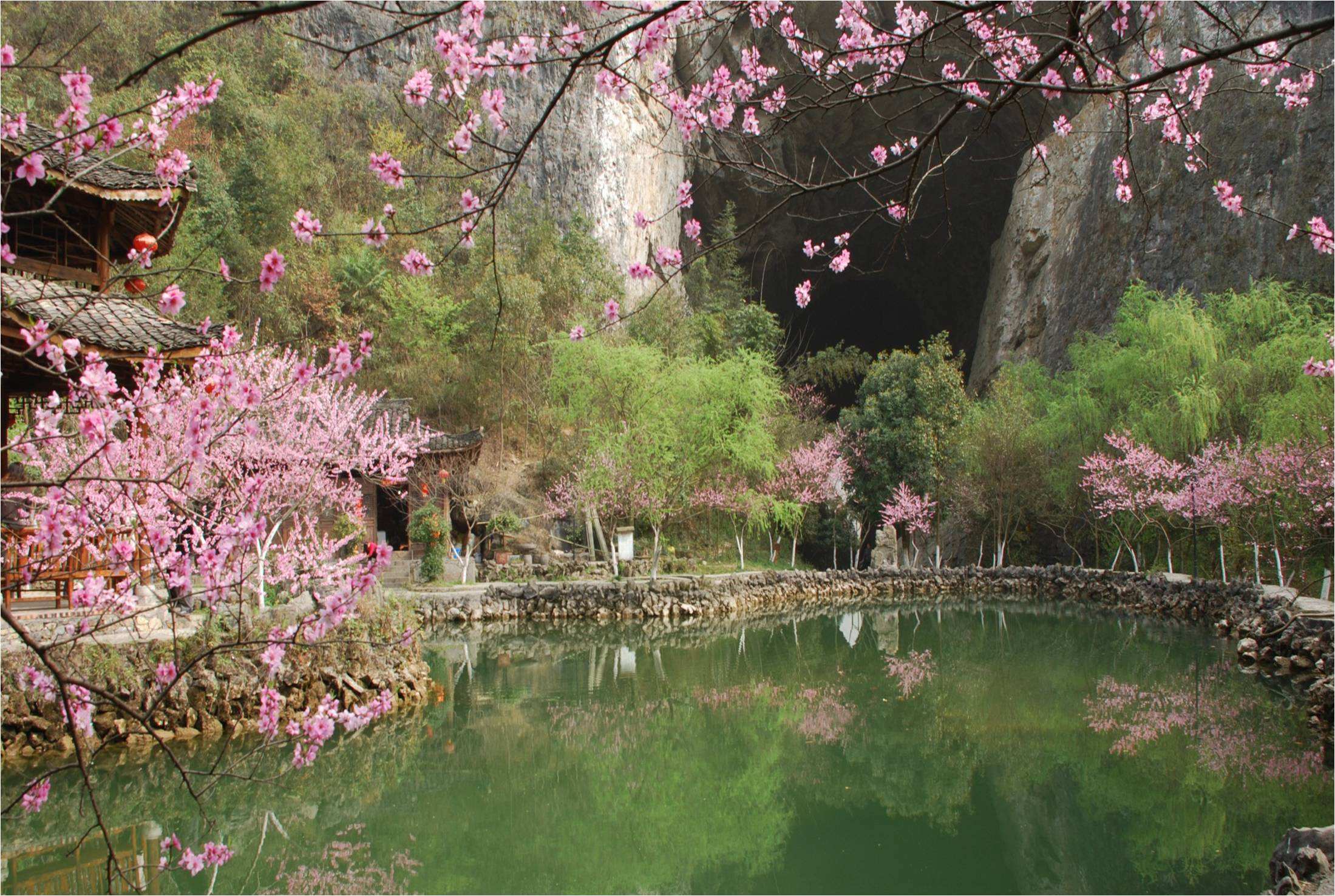 心中的桃花源图片